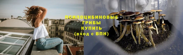 мескалин Арсеньев