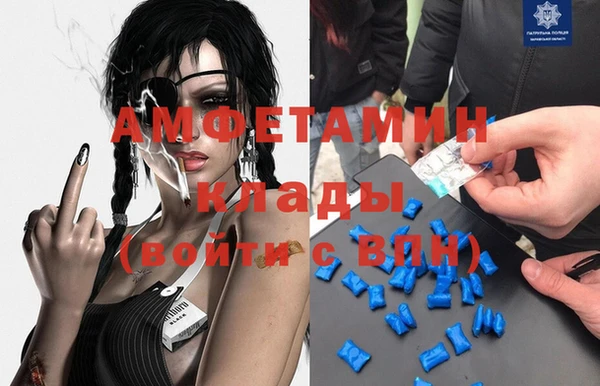 индика Нязепетровск