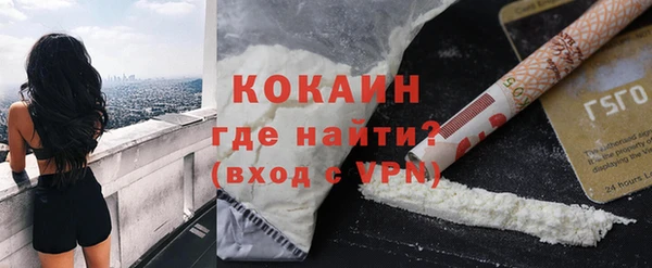 индика Нязепетровск