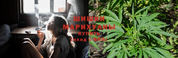 мяу мяу мука Аркадак