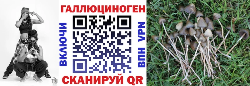 Галлюциногенные грибы мухоморы Славск