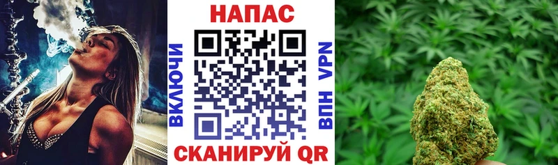 где купить   Славск  Бошки Шишки THC 21% 